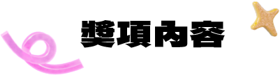獎項內容